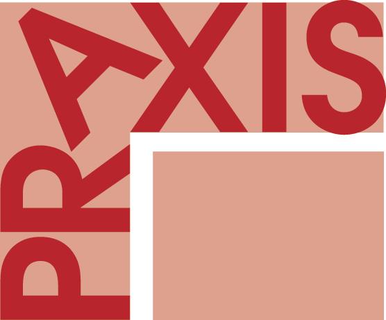 Praxis, Accompagnement professionnel